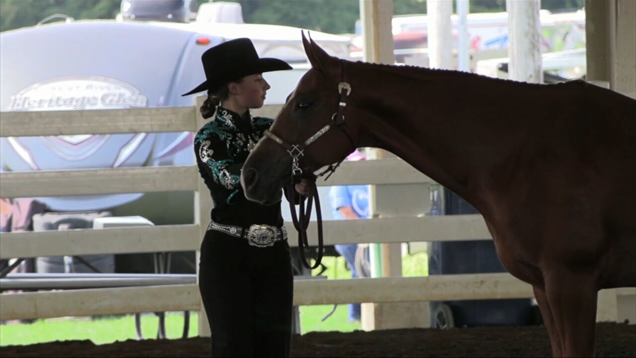 4-H Spotlight: Showmanship demonstrates bond between horse and competitor